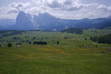 Arkasında dağ olan yeşil bir alan.