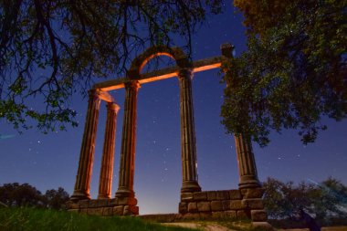 Ağacın altında oturan bir çift sütun.