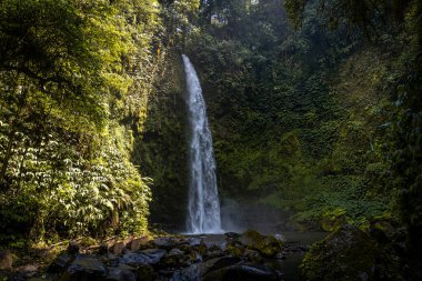 Kosta Rika 'da Şelale