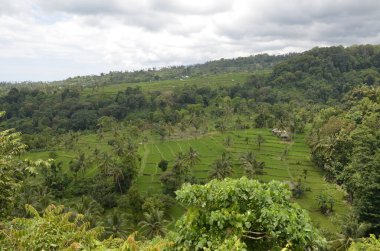 Bali, Endonezya - Kasım 19, 202 Bali 'nin turistik cazibesi