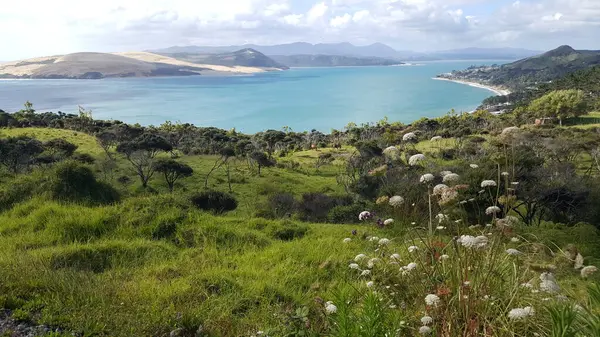 Sahilin manzarası ve arka plandaki dağlar.