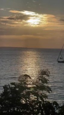 Frica 'daki en iyi safari. 