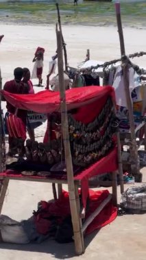 Frica 'daki en iyi safari. 