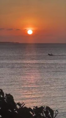 Frica 'daki en iyi safari. 