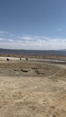 Sabahları gölün güzel manzarası