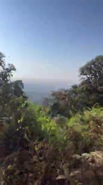 Ağacı ve dağı olan güzel bir manzara.