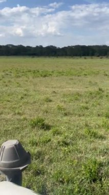 Afrika 'nın güzel manzarası