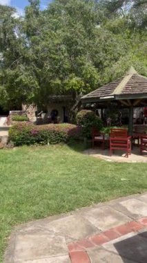 Parkta arka planda bulanık bir tahta bankın dikey görüntüsü.