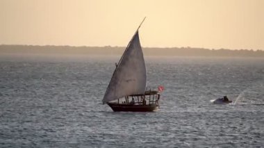 Sunset Light 'ta yelkenli