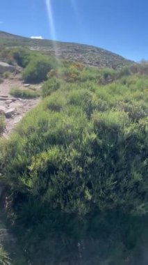 Gredos Gölü, İspanya