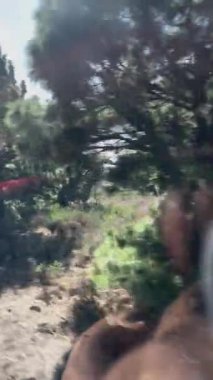 Doğanın güzel bir manzarası