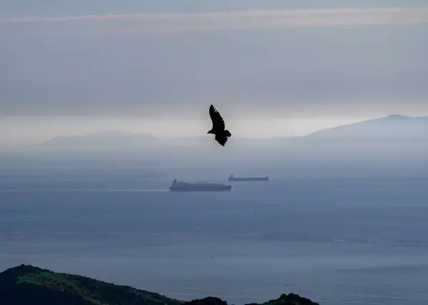 Denizin üzerinde güzel bir gün batımı