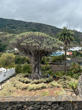 La gomera adası manzarası, kanarya adaları, İspanya