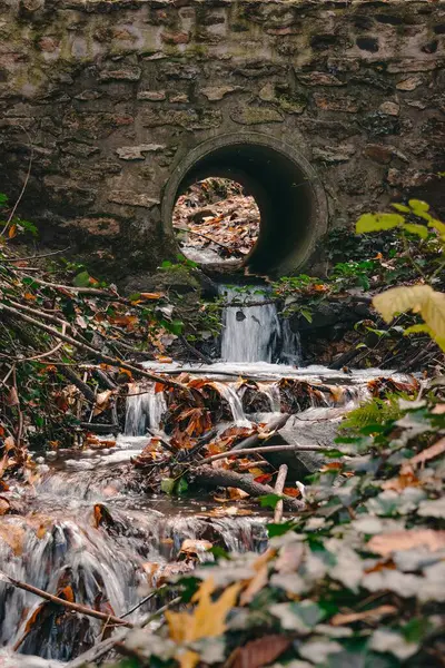 Bir ormanda köprünün altından akan güzel bir nehrin dikey görüntüsü.