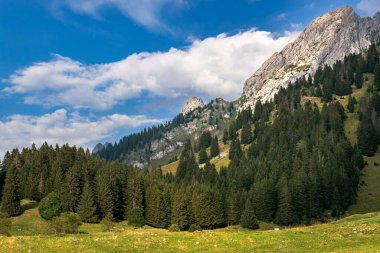 Alp dağlarının güzel manzarası