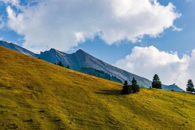 Dağlarda yeşil çimenler.