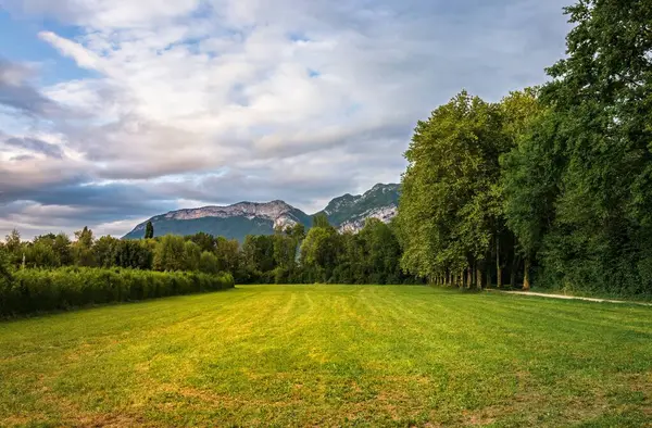 Yeşil ağaçların güzel bir görüntüsü. Bir tarlası ve Annecy Gölü yakınlarında mavi bir gökyüzü.