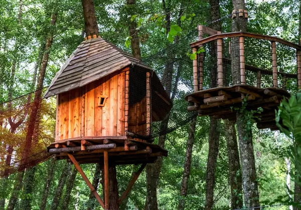 Ormandaki ahşap bir evin dikey görüntüsü.