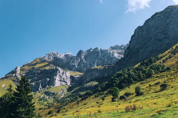 Güzel bir dağ manzarası