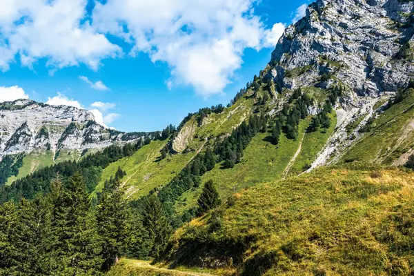 Güzel dağ manzarası. Doğal arkaplan