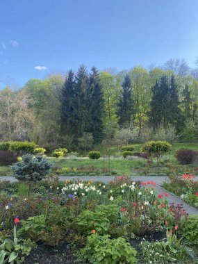 Alman Muensterland 'inde bahar geldi.