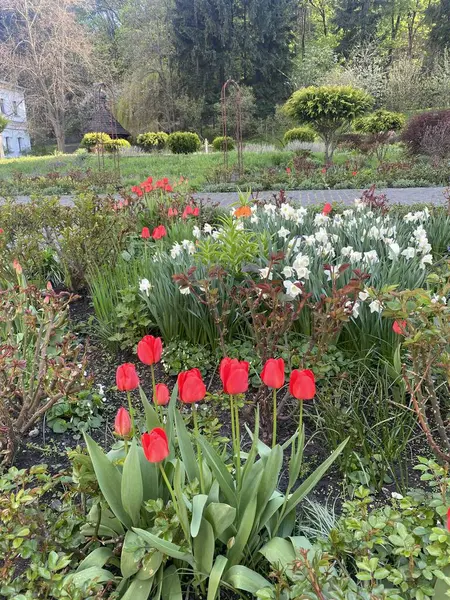 Bahçedeki güzel çiçekler