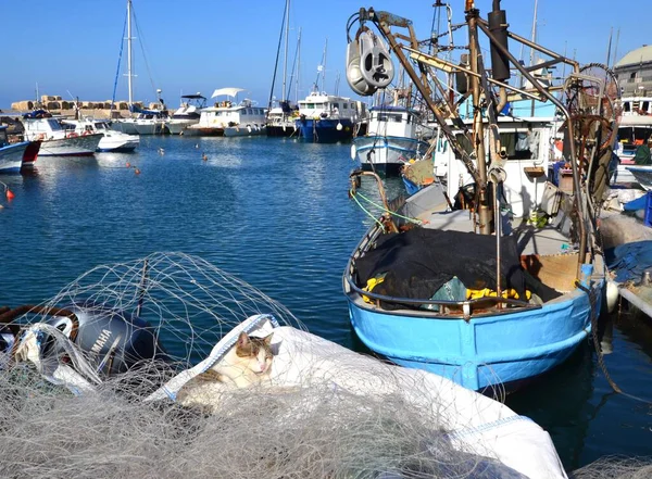 Porto Jaffa Porto Velho Barcos Pesca Redes Gato Adormecido — Fotografia de Stock
