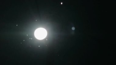 Uçan böcekler gece ışıklarla oynuyorlar.