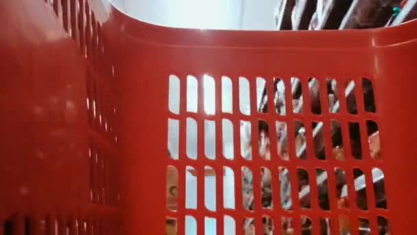 Supermarket Pohled Zevnitř Červeného Košíku — Stock video