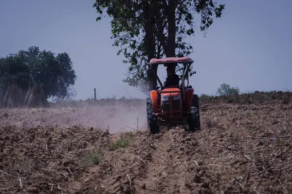 Tayland kırsalında bir traktörle toprak süren bir çiftçi, tarlaları ekime hazırlıyor, tarlalar ve ağaçlarla çevrili sakin bir kırsal kesimde..