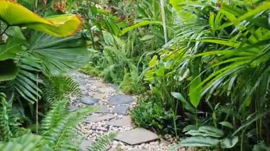 Yoğun yeşil bitki örtüsüyle kaplı sakin bir bahçe yolu ferahlatıcı ve huzurlu bir doğal atmosfer yaratıyor. Güneş ışığı yaprakların arasından süzülür, yemyeşil manzarayı güçlendirir..