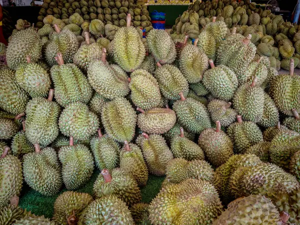 Tayland 'daki bir meyve pazarında satılığa çıkarılmış taze toplanmış büyük bir Durian yığınının yer aldığı bir pazar sahnesi. Dikenli dokuları ve yeşilimsi kahverengi renkleri bu tropikal lezzetin egzotik doğasını vurgular.