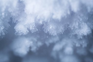 Buz kristallerinin kabataslak, donmuş dokusu olan makro soyut bir arka planı. Serin mavi ve beyaz tonlar kışı, saflığı ve doğal güzelliği çağrıştırıyor. Mevsimsel veya tasarım kullanımı için ideal.