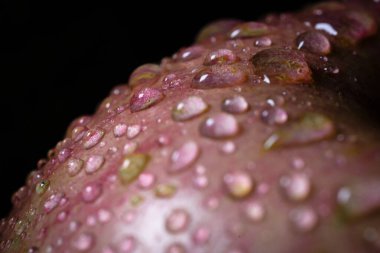 Elma derisi üzerine yumuşak odaklı ve zengin tonlarda su damlacıkları. Gıda tasarımı, tazelik temaları ve sanatsal altyapılar için ideal.