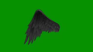 Melek kanatları yeşil ekran, 3 boyutlu animasyon