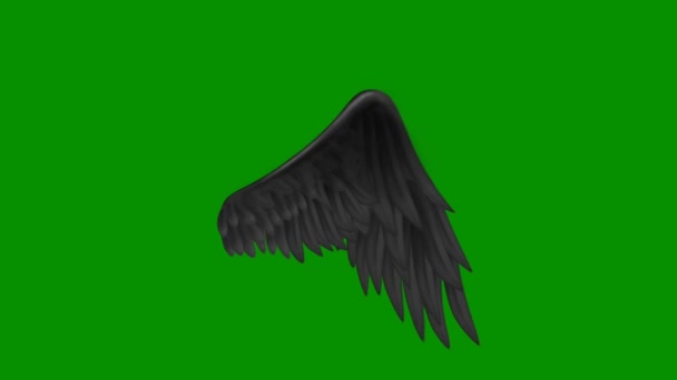Angel Wings Schermo Verde Animato Animazione — Video Stock