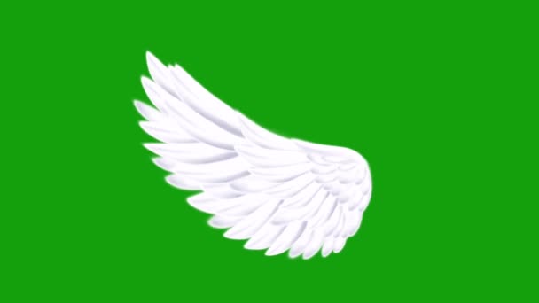Engel Vleugels Geanimeerd Groen Scherm Animatie — Stockvideo
