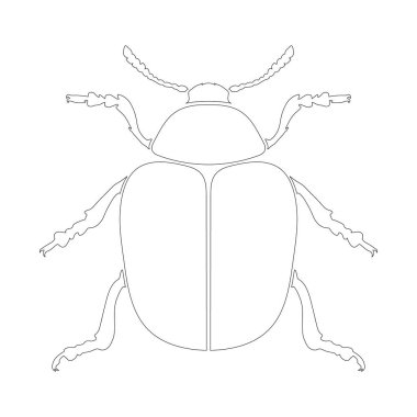Colorado patates böceğinin taslağı. Clipart, design, print için basit vektör illüstrasyonu.