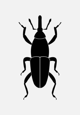 Buğday. Beyaz arka planda böcek zararlılarının vektör çizimi. İzole edilmiş siyah simge.