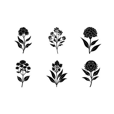 Çiçek Vektörü Zarif Dijital Çiçek İllüstrasyonu