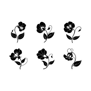 Çiçek Vektörü Zarif Dijital Çiçek İllüstrasyonu