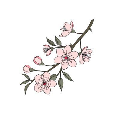 Romantik düğün vektörü unsuru, davetiyeler, dekorlar ve dijital tasarım için mükemmel. Yaratıcı projeler için yüksek kaliteli yapay zeka dosyası.