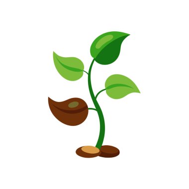 AI formatında basit ve temiz fasulye ikonu vektörü gıda, beslenme, vegan ve organik tasarım projeleri için idealdir..