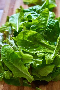 Eko sebzeler büyüyor. Yüksek kaliteli fotoğraf.