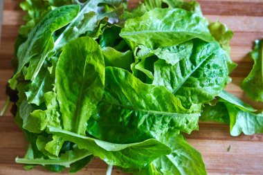 Eko salata masada sebze bırakır. Yüksek kaliteli fotoğraf.