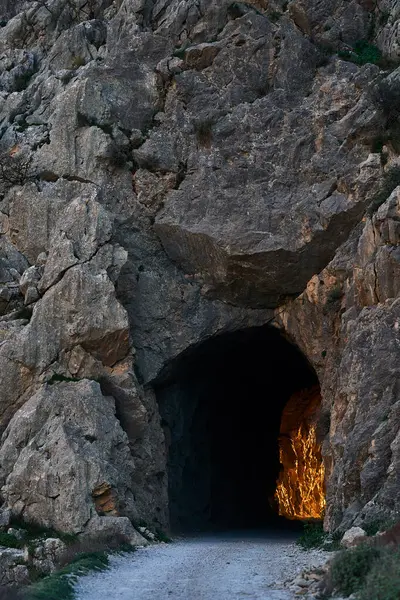 İspanya Endülüs baharı, yalnız ağaç dağlarının etrafını sarar. Yüksek kaliteli fotoğraf.