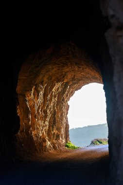 İspanya Endülüs baharı, yalnız ağaç dağlarının etrafını sarar. Yüksek kaliteli fotoğraf.
