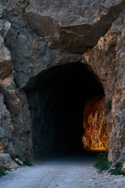 İspanya Endülüs baharı, yalnız ağaç dağlarının etrafını sarar. Yüksek kaliteli fotoğraf.