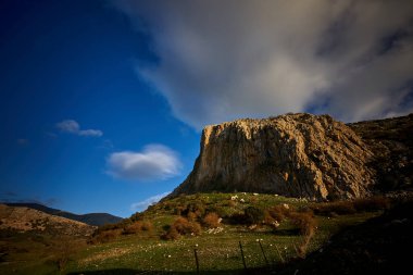İspanya Endülüs baharı, yalnız ağaç dağlarının etrafını sarar. Yüksek kaliteli fotoğraf.