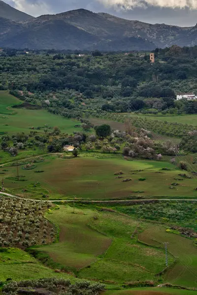 Ronda kasabası İspanya 'yı çevrelemektedir. Yüksek kaliteli fotoğraf.